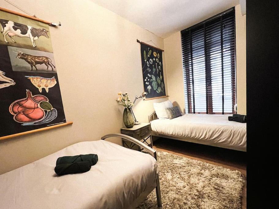 Cannelle Apartman Verviers Kültér fotó